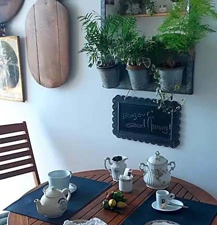 B&B 